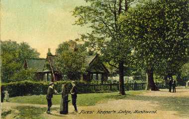Bush Wood, the water pump