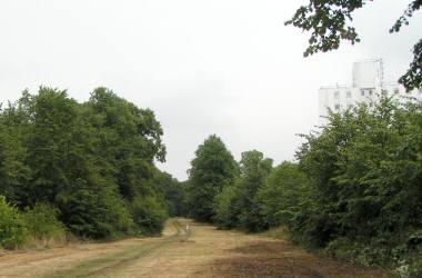 The Avenue, Bush Wood