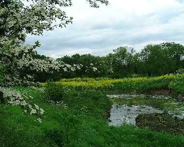 River Roding