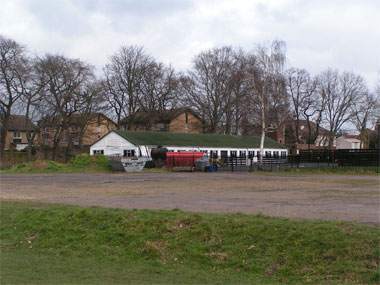 Wanstead Flats