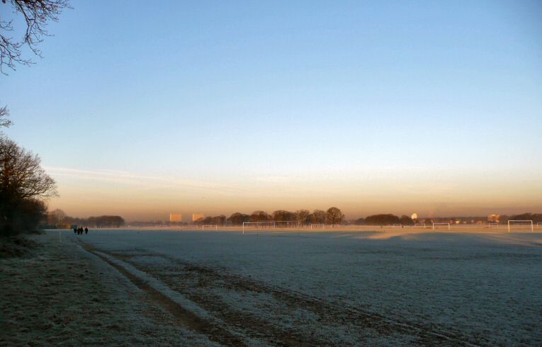 Wanstead Flats