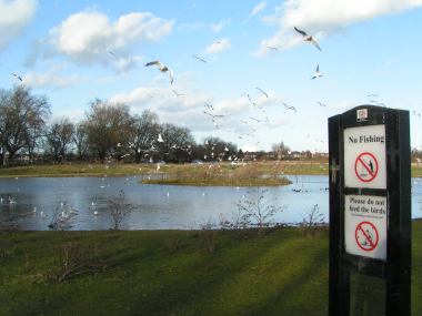 , Wanstead Flats