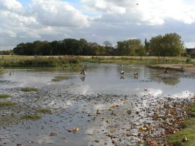 , Wanstead Flats