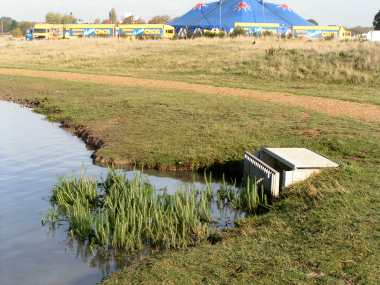 , Wanstead Flats