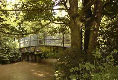 Wanstead Park