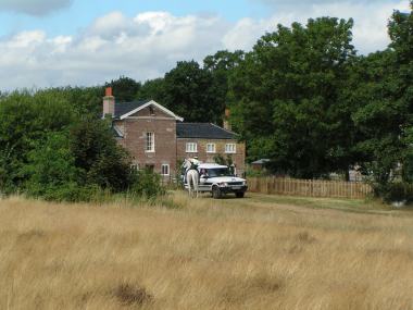 The Temple, Wanstead Park