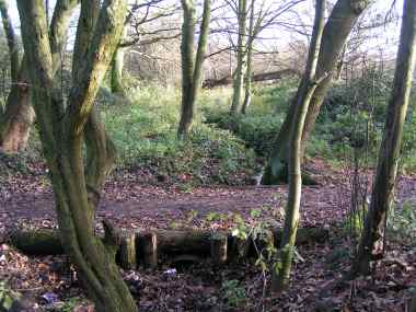 Wanstead Park - Lake System