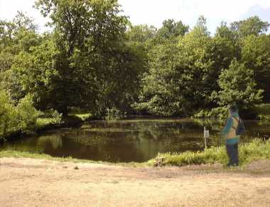 Wanstead Park