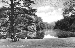 Old postcard view of the Cedar