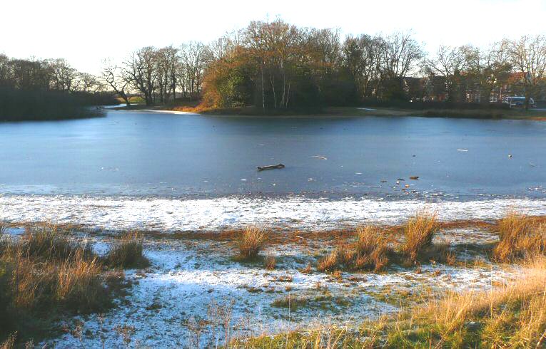 Alexandra Lake